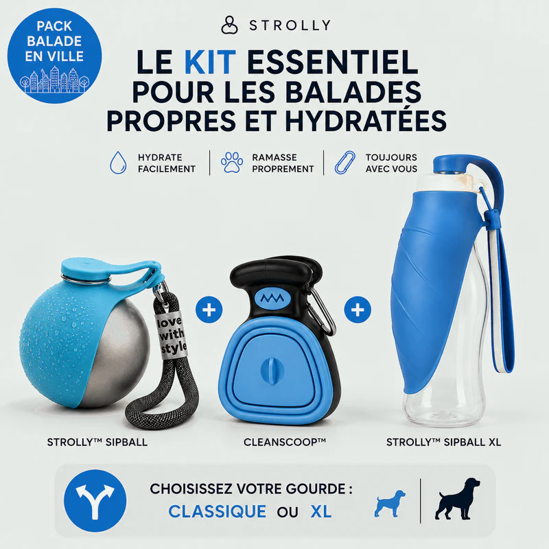 Pack Balade en Ville